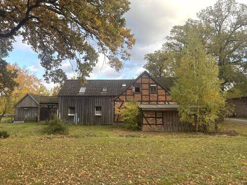 Seitenansicht - 