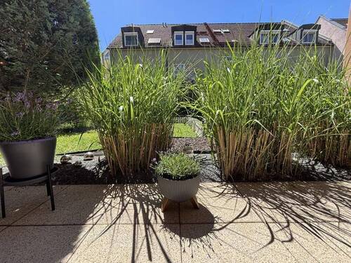 Blick von der Terrasse - 