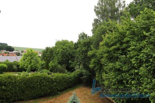 Blick in den Garten.jpg - 