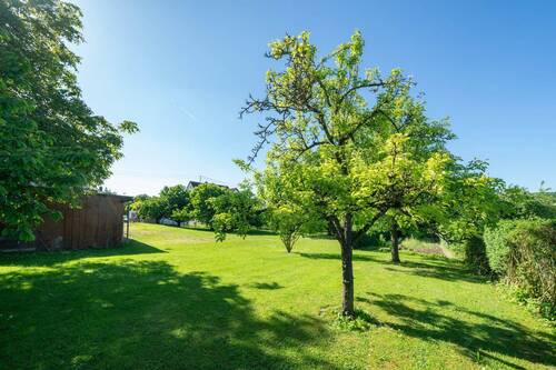 Garten - 