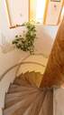 Treppe zum EG - 