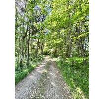 RESERVIERT - MISCHWALD Nähe Treuchtlingen Wettelsheim