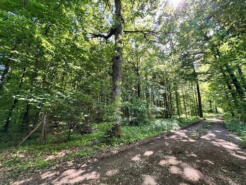 Bild 2 - Grundstück zum Kaufen in Treuchtlingen Wettelsheim