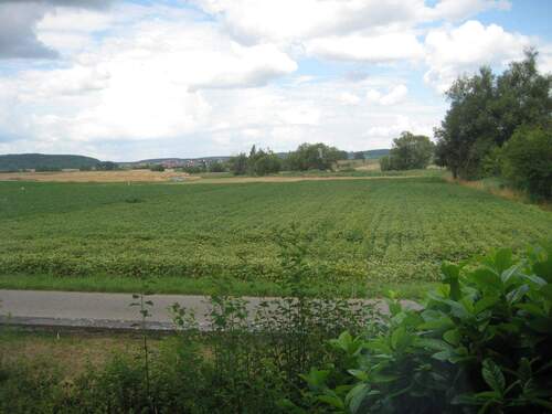 IMG_5205.JPG - Mehrfamilienhaus, Wohnhaus mit 176,00 m² in Leinach zum Kaufen