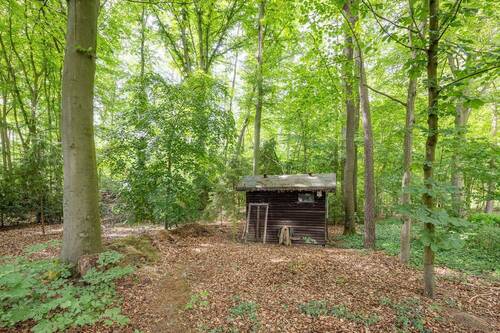 Waldstück - 