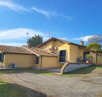 Renoviertes Landhaus mit Olivenhain in Castellina Marittima I Immobilie Toskana