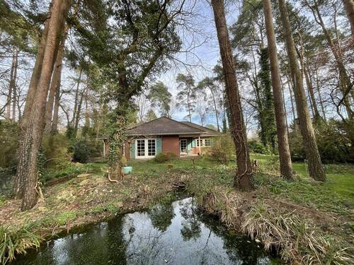 Blick aus dem Garten - 