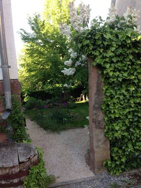 Eingang zum Garten - 