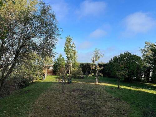 Blick in den Garten - 