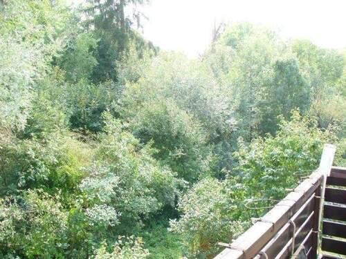 Blick vom Balkon - Etagenwohnung mit 97,00 m&sup2; in Fürth zur Miete