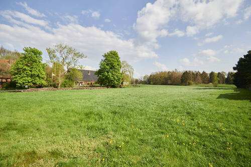 Impression von Schwarme - 