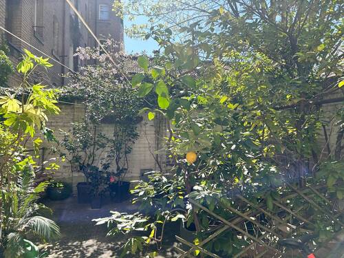 kleiner Gemeinschaftsgarten - 