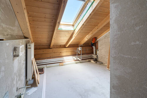 Roh, aber voller Potenzial - 
