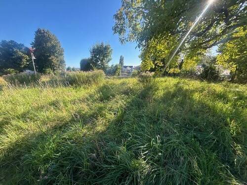 Baugrundstück - Grundstück zum Kaufen in Konstanz