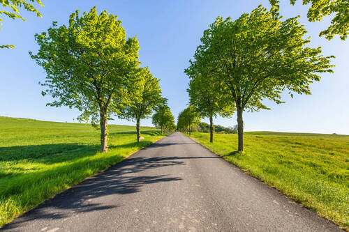 Hagen - umgeben von Feldern - 