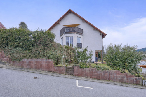 Haus - Seitenansicht - 9 Zimmer Einfamilienhaus in Heppenheim