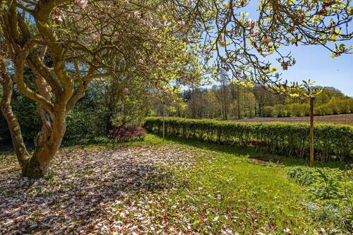 Garten - 