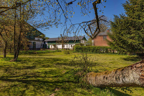 Blick vom Obstgarten - 