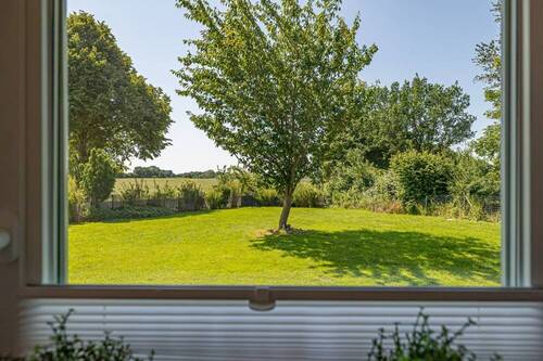 Backhaus - 
