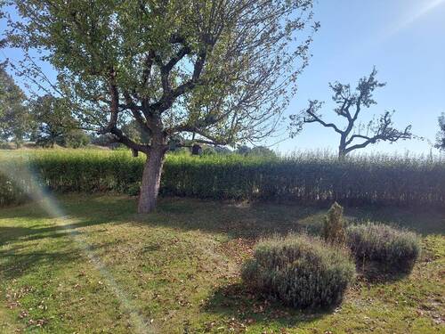 Teilansicht Garten - 