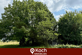 Titelbild - Billiger als mieten? Oidtweiler, Einfamilienhaus