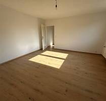 Renovierte, teilw. sanierte Wohnung perfekt für die Einzelperson - Mannheim / Neckarau