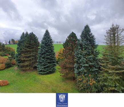 Blick - Individuelle Dachwohnung mit herrlichen Blickbeziehungen in ländlicher Umgebung!