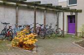 Hof mit Fahrradstellplätzen - 