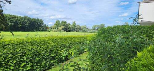 Blick aus dem Wohnzimmer - 