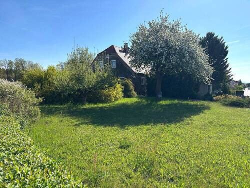 Garten - 3 Zimmer Einfamilienhaus in Leutersdorf / Spitzkunnersdorf