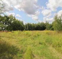 Ihr neues zu Hause in sonniger Feldrandlage - zwei große Baugrundstücke in Chemnitz Adelsberg