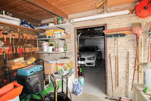 Schuppen - 