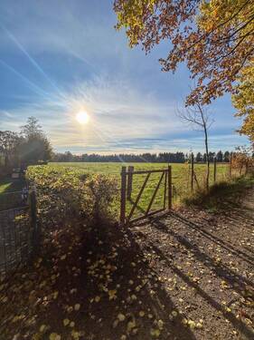 Der Blick über die Felder - RESERVIERT Mittelreihenhaus in Hamburg-Osdorf: Wohnen am Feld - mitten in der Stadt!