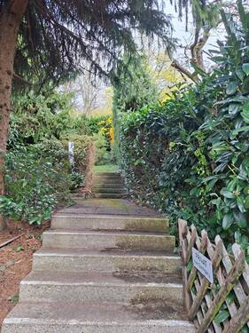 Aufgang in den Garten - 