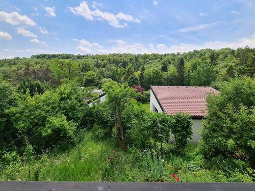 Blick vom Balkon - 