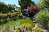 DSC_4196 - 