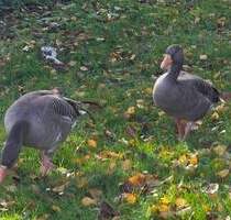 321 - Endlich ins eigene Zuhause - Stuttgart Hofen