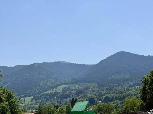 Blick - 