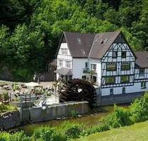 Mühlen-Café (geöffnet) mit Wasserrad plus 4 Wohnungen u. 5 Gästezimmer in Schmallenberg!