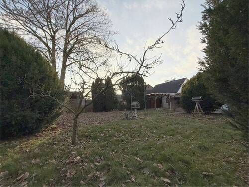 Garten - 