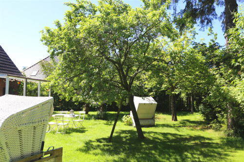 Traumhafter Garten - 