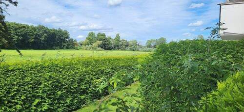 Blick aus dem Wohnzimmer - 