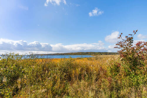 Nahegelegener Jasmunder Bodden - 