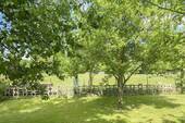Garten_nach_hinten - Großer Garten, viel Raum fürs Leben - Familienfreundliches Haus mit Naturanschluss und Ausbaureserve
