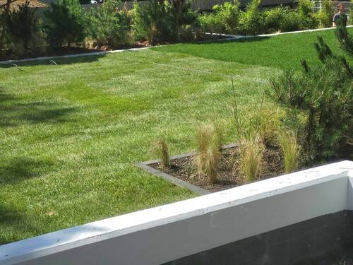 aktuelle Impressionen - 