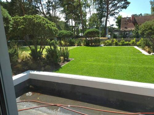 aktuelle Impressionen - 