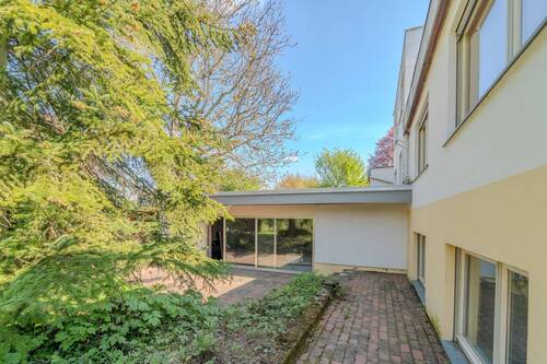 Rückseite - 9 Zimmer Einfamilienhaus in Mainz