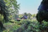 Ausblick - 
