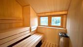 sauna-dg.jpeg - 