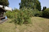 Garten 5 - 